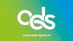 logo-ods 2